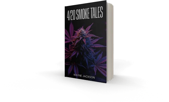 Book cover from the Penscribe portfolio
